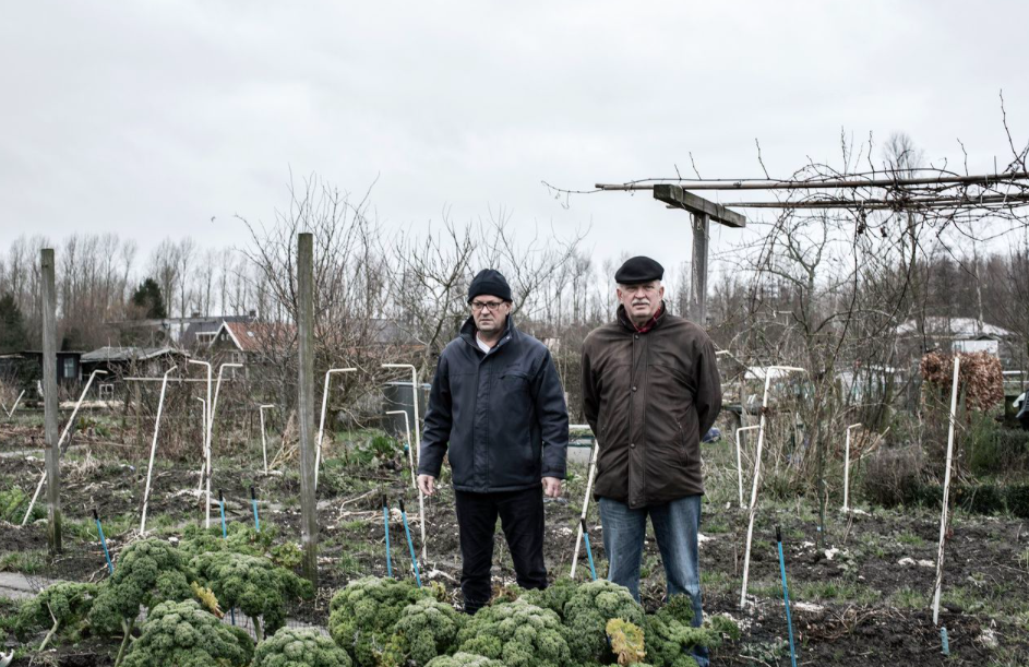 Het verhaal van drie Bosnische broers, waarvan er een werd vermoord